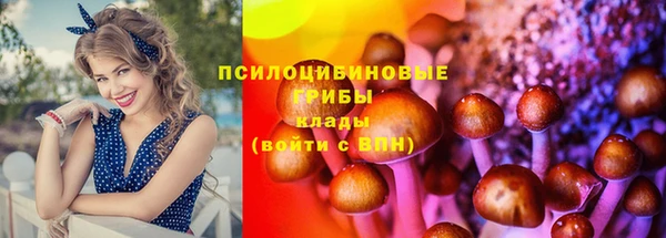 jwh Абаза