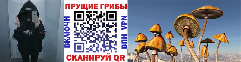 Псилоцибиновые грибы MAGIC MUSHROOMS  Кяхта 